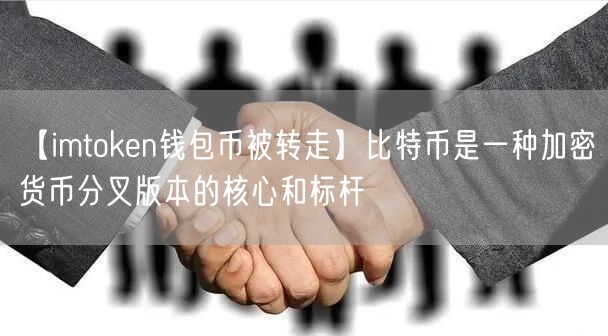 【imtoken钱包币被转走】比特币是一种加密货币分叉版本的核心和标杆(图1)