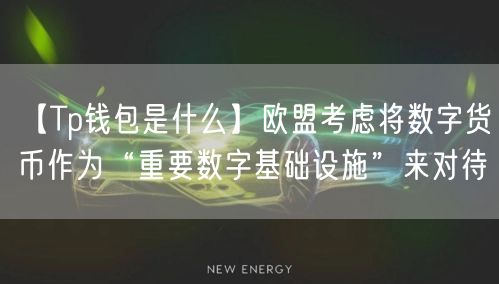 【Tp钱包是什么】欧盟考虑将数字货币作为“重要数字基础设施”来对待(图1)