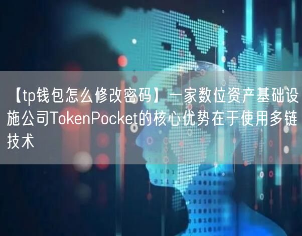 【tp钱包怎么修改密码】一家数位资产基础设施公司TokenPocket的核心优势在于使用多链技术(图1)