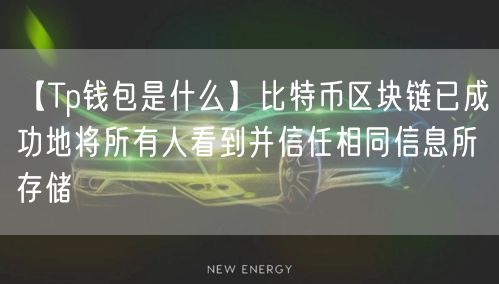 【Tp钱包是什么】比特币区块链已成功地将所有人看到并信任相同信息所存储(图1)