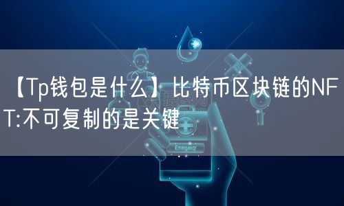 【Tp钱包是什么】比特币区块链的NFT:不可复制的是关键(图1)