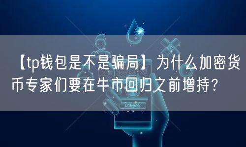 【tp钱包是不是骗局】为什么加密货币专家们要在牛市回归之前增持？(图1)