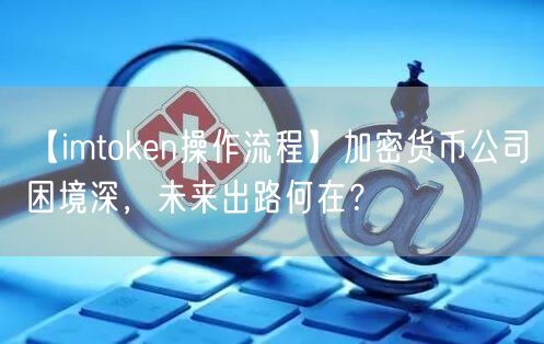 【imtoken操作流程】加密货币公司困境深，未来出路何在？(图1)
