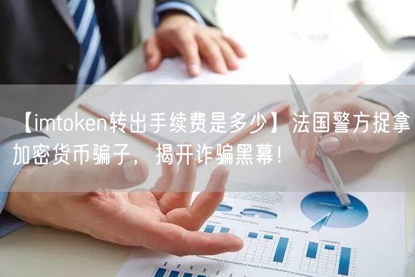 【imtoken转出手续费是多少】法国警方捉拿加密货币骗子，揭开诈骗黑幕！(图1)