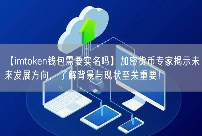 【imtoken钱包需要实名吗】加密货币专家揭示未来发展方向，了解背景与现状至关重要！(图1)