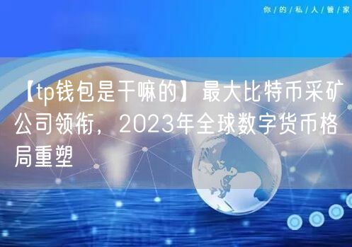 【tp钱包是干嘛的】最大比特币采矿公司领衔，2023年全球数字货币格局重塑(图1)