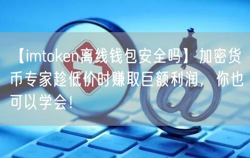 【imtoken离线钱包安全吗】加密货币专家趁低价时赚取巨额利润，你也可以学会！(图1)