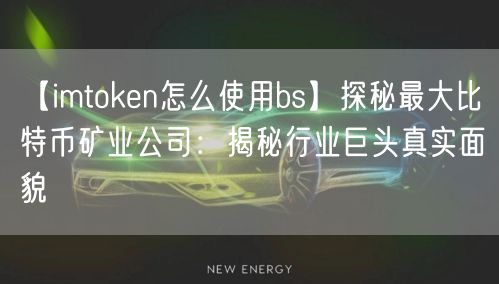 【imtoken怎么使用bs】探秘最大比特币矿业公司：揭秘行业巨头真实面貌(图1)