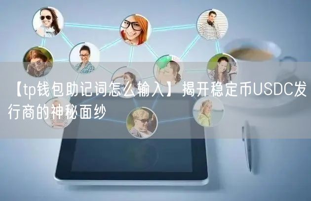 【tp钱包助记词怎么输入】揭开稳定币USDC发行商的神秘面纱(图1)