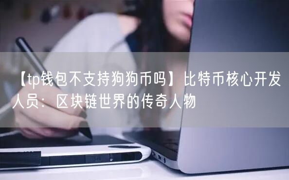 【tp钱包不支持狗狗币吗】比特币核心开发人员：区块链世界的传奇人物(图1)