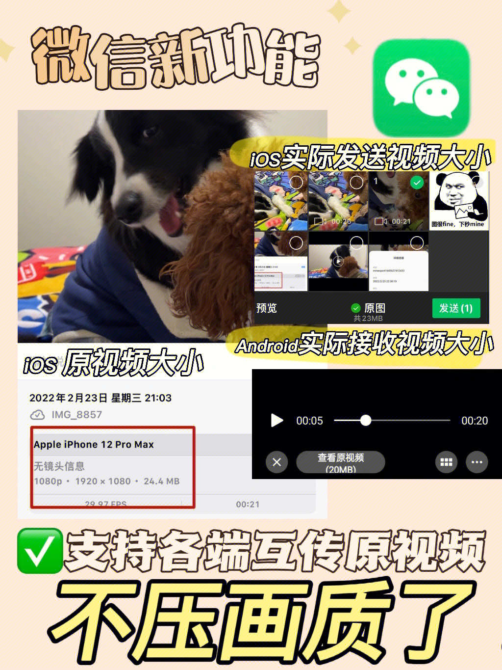 安卓版whatsapp下载_whatsapp安卓版