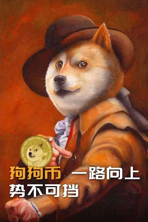 分红币有哪些_tp钱包doge有分红吗_分红币的收益哪个好