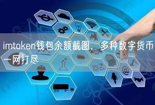 imtoken钱包余额截图，多种数字货币一网打尽(图1)