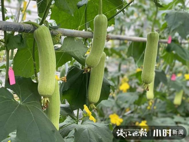 丝瓜视频看污_丝瓜视频看污_丝瓜视频看污
