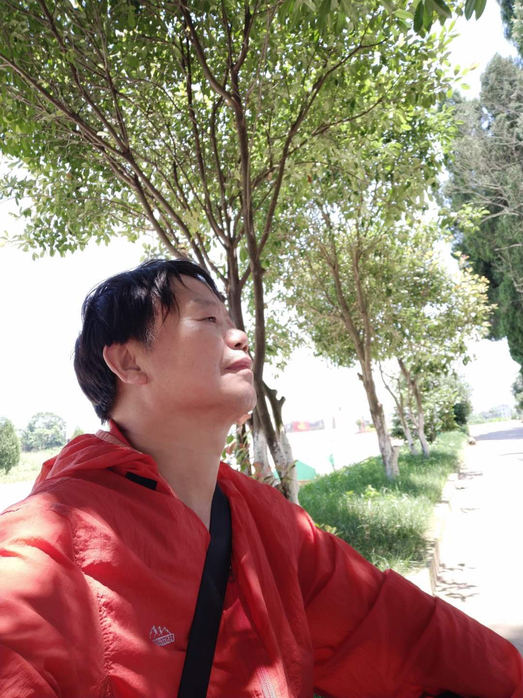 不朽之王_不朽王国是哪个国家_不朽王冠