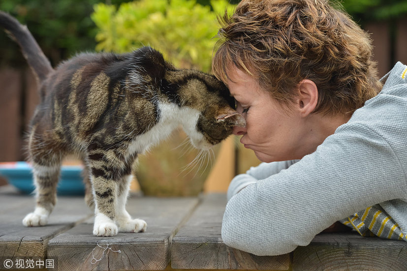 打小猫_小猫打疫苗多少钱_小猫打狂犬疫苗多少钱一针