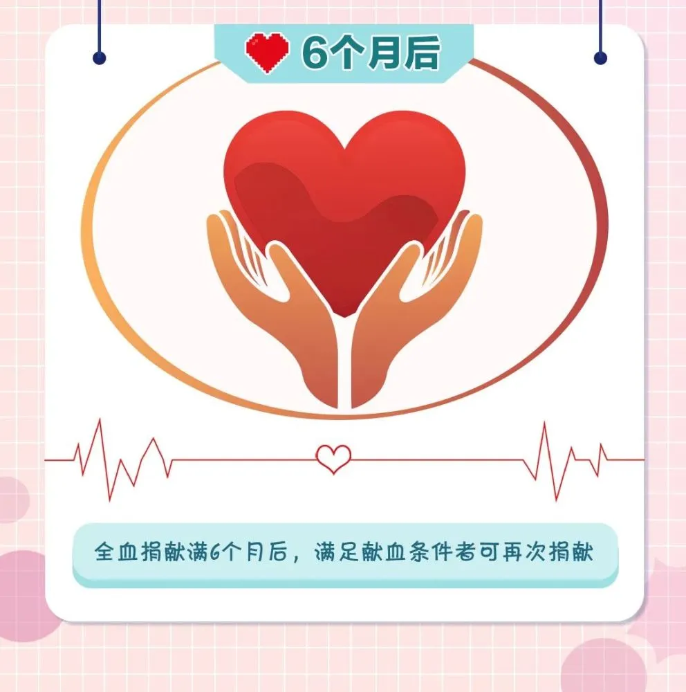 幼师宝典_幼师宝典官网网址_幼师宝典手工图片