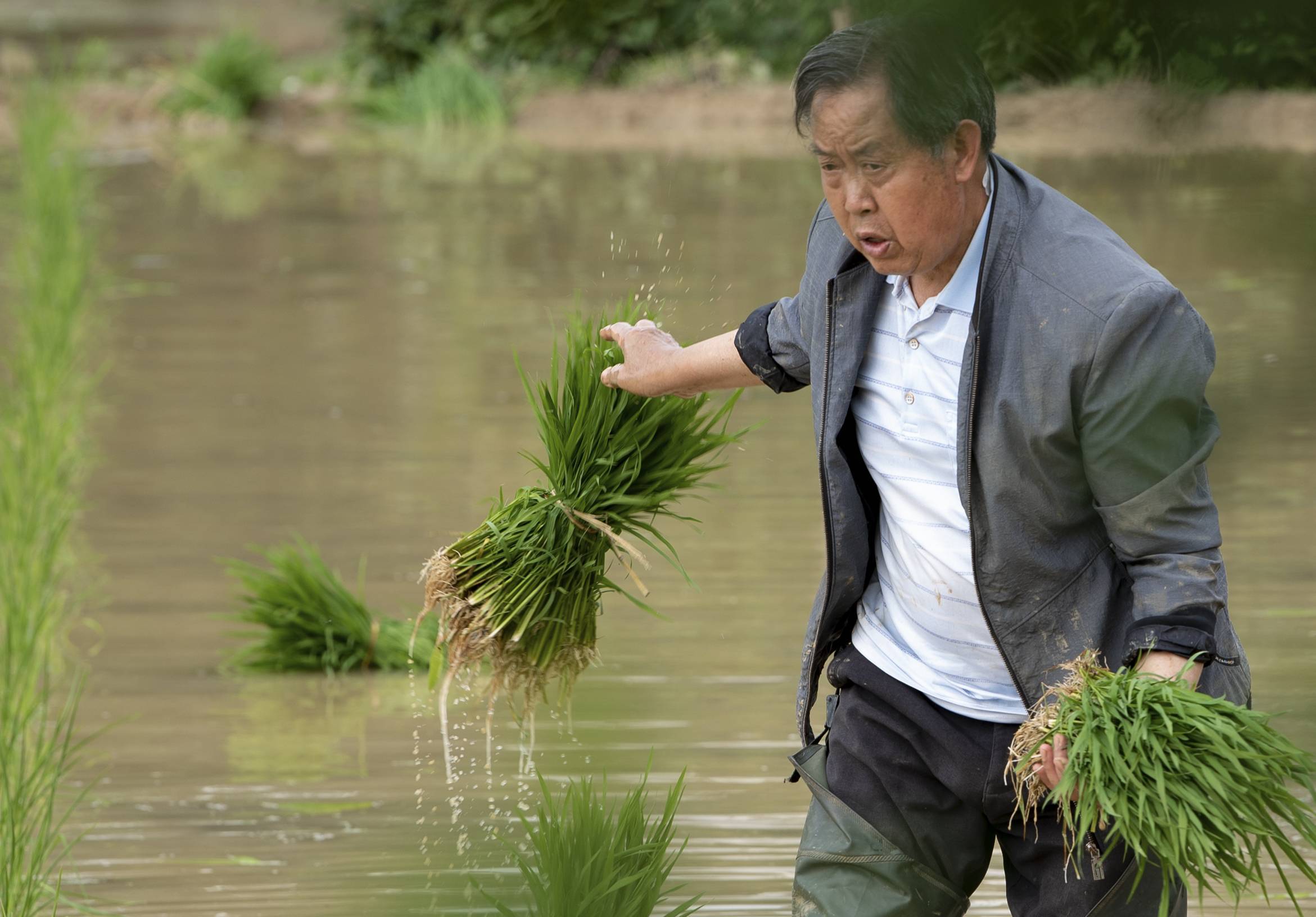 谷王朱橞是老几_谷王80小麦收割机_百谷王