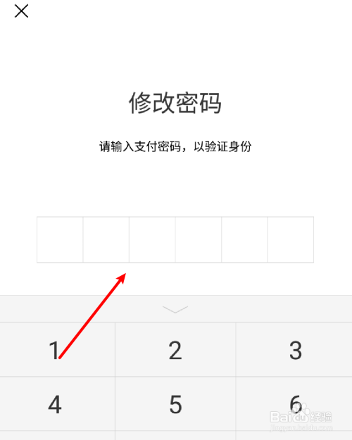 imtoken支付密码修改_imtoken支付密码忘了_imtoken钱包密码修改