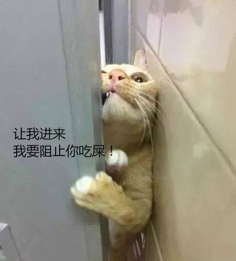 拉屎玩手机的好处_拉屎玩手机表情包_怎么拉屎玩手机游戏