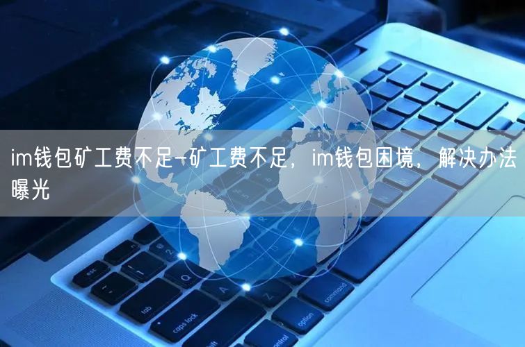 im钱包矿工费不足-矿工费不足，im钱包困境，解决办法曝光(图1)