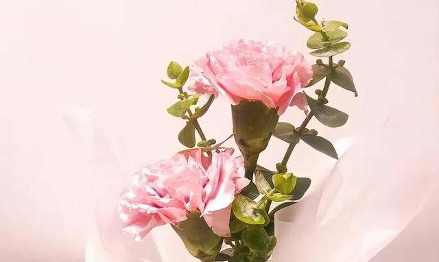 花凛_花凛_花凛