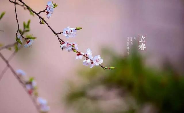杜甫立春诗词_杜甫立春朗诵视频_立春杜甫