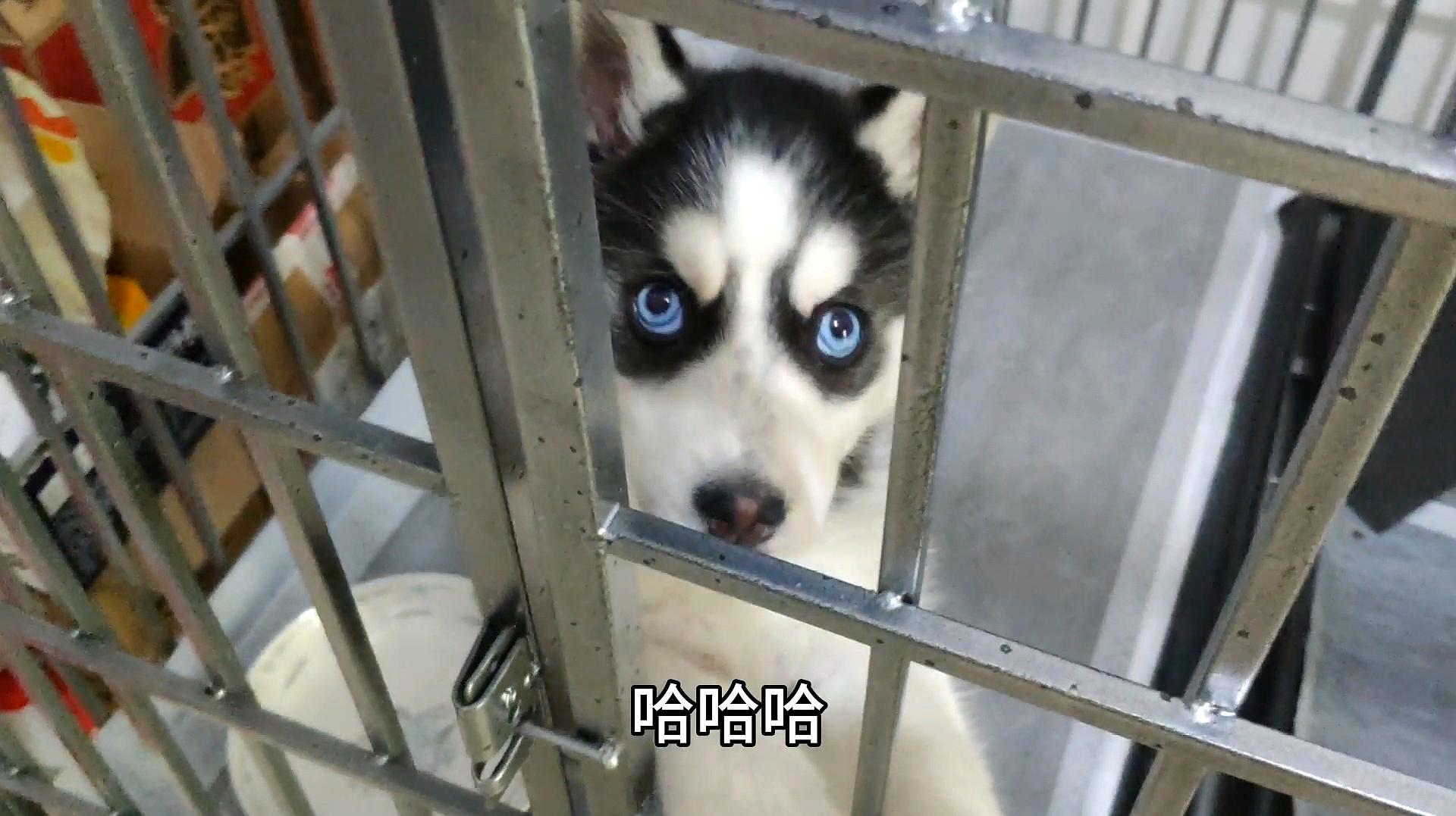 kk视频_视频K歌_视频k歌软件哪个好用