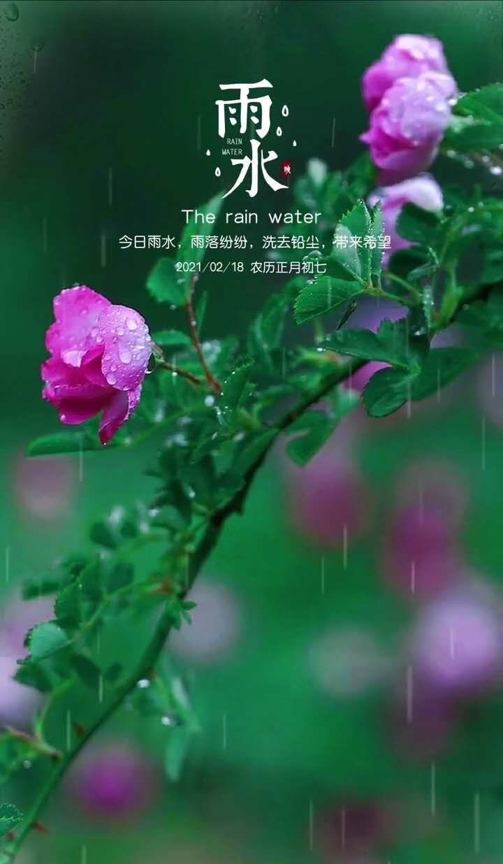 雨水的意思是_雨水是什么意思_雨水意味着