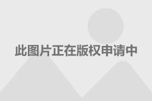 狗币tp钱包_tp钱包狗币_钱包狗狗币