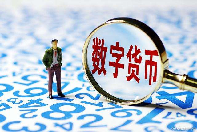 钱包诈骗团伙视频播放_tp钱包诈骗_小龙钱包诈骗