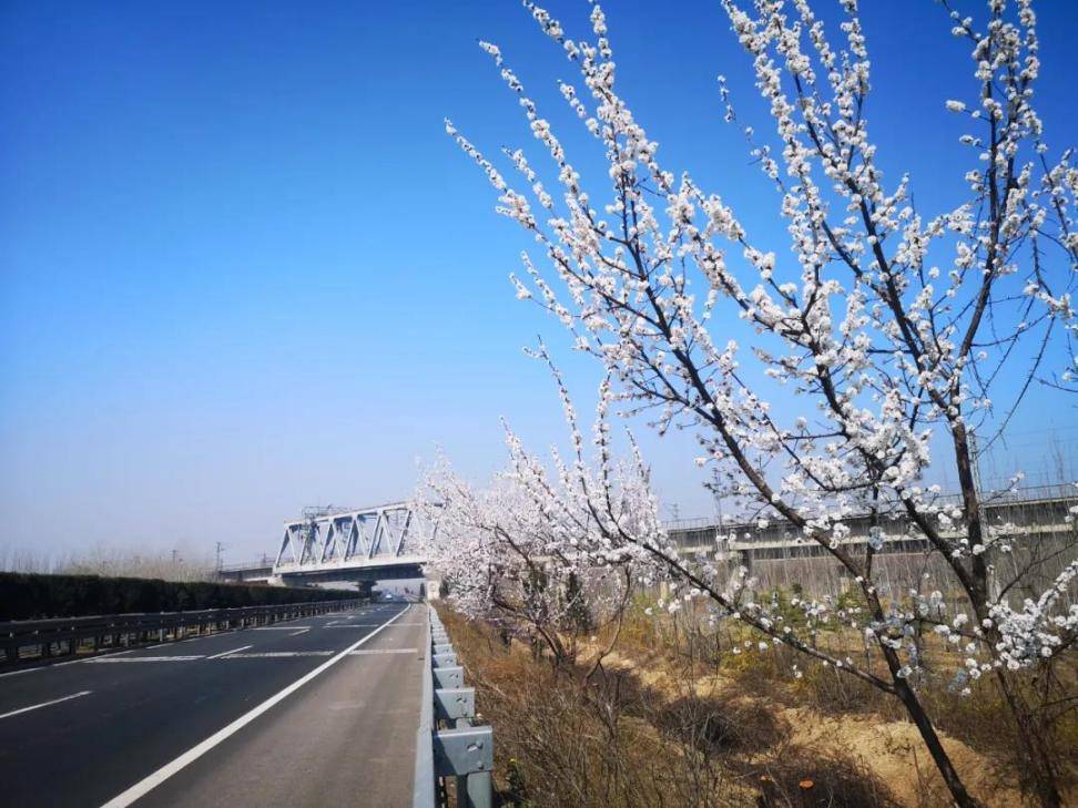 高速免费4月30日_4.30号高速免费吗_高速免费到7号还是8号