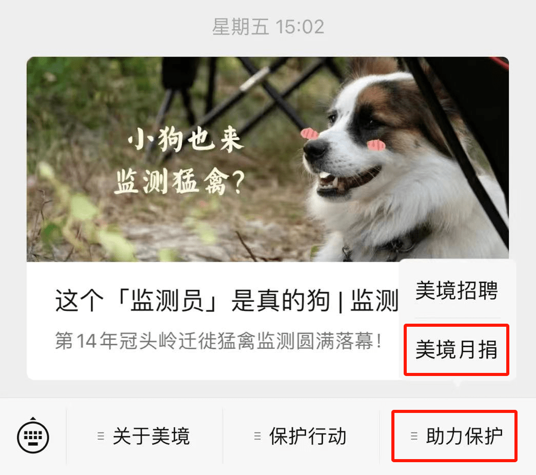 狗狗币怎么提现到tp钱包_狗狗币提现_狗狗币钱包转账手续费