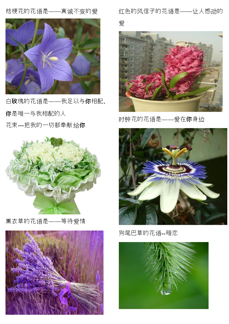 花的替代字_代替花的字_一个字代替花