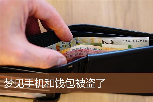 chia钱包被盗_imtoken钱包被盗怎么解决_imtoken钱包被盗经过