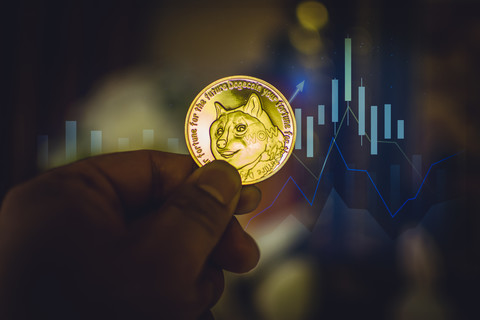 tp钱包不支持狗狗币_狗狗币钱包dogecoin_狗币tp钱包