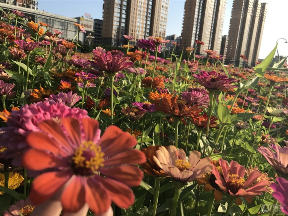 午夜诊所_在线天堂8_清纯看护学院