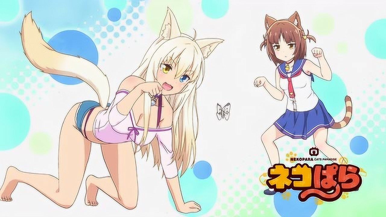 猫游记单机版_猫游记手游_猫游记手机游戏