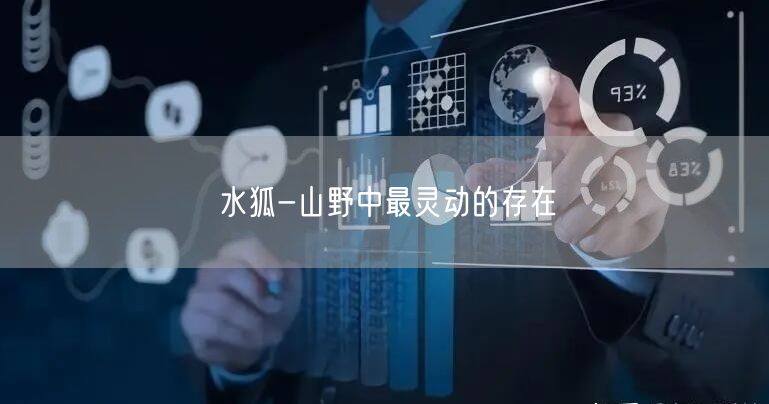 水狐-山野中最灵动的存在(图1)