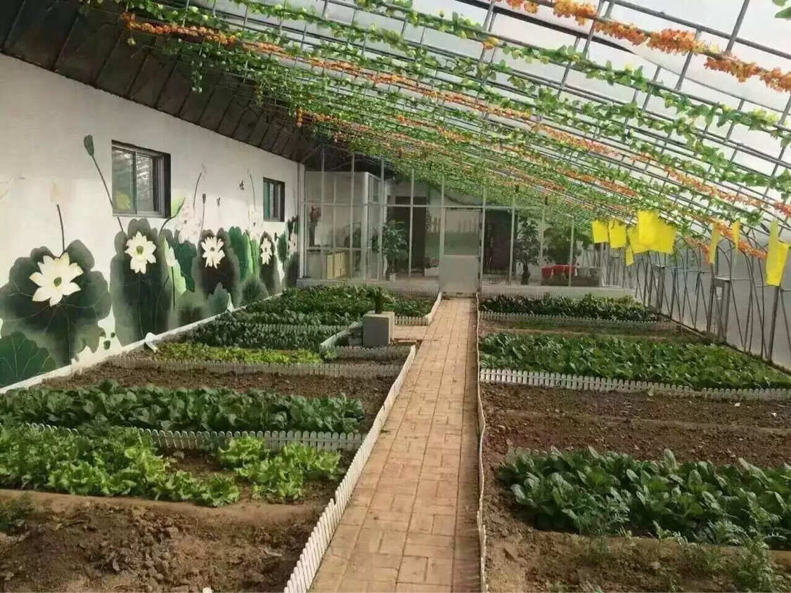 农场游戏模拟农场_农场模拟版手机游戏破解版_农场模拟游戏手机版
