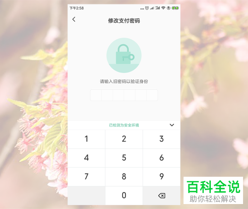 TP钱包在哪里设置交易密码_tp钱包交易密码忘了_tp钱包支付密码