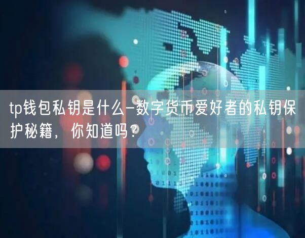 tp钱包私钥是什么-数字货币爱好者的私钥保护秘籍，你知道吗？(图1)