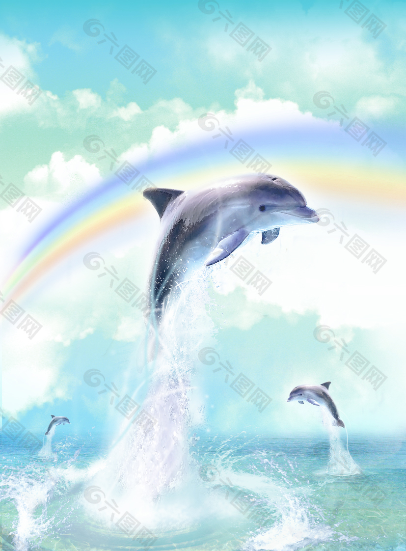海豚手游_海豚手游安卓版_海豚海报游戏手机