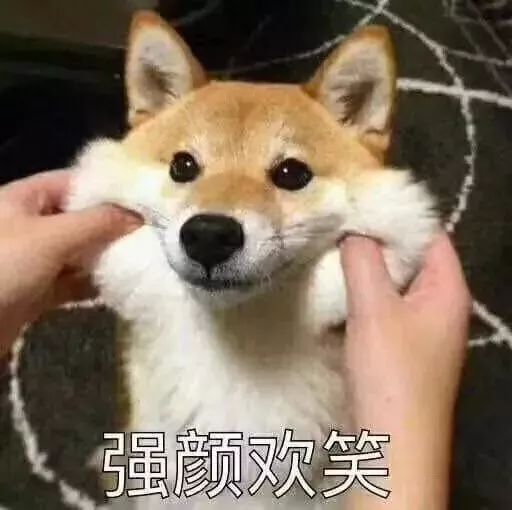tp钱包放狗狗币_狗狗币放到钱包_狗狗币放钱包有分红吗