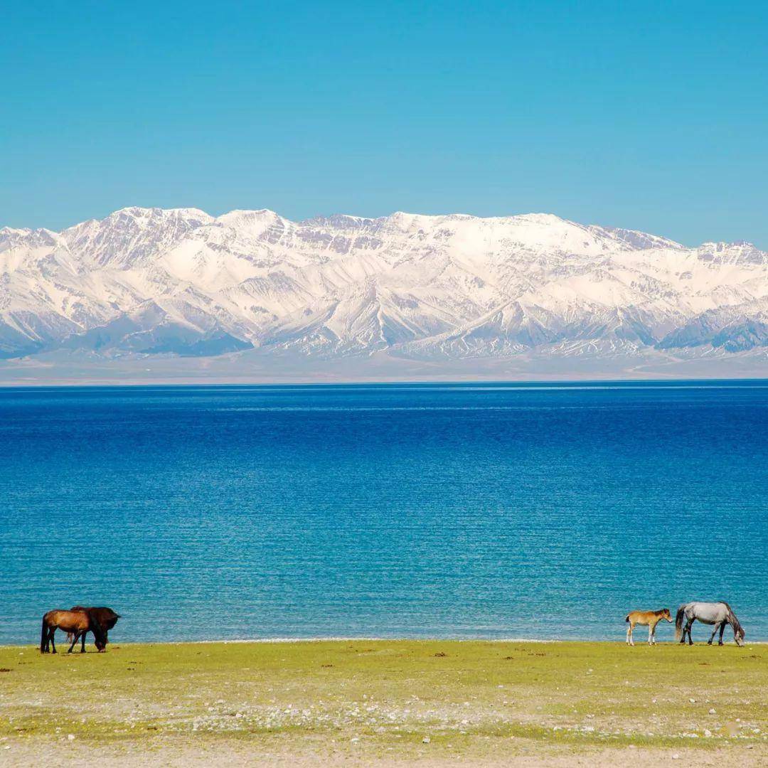 2021天龙八部天山童姥_天龙八部新版天山童姥_天龙八部之天山童姥