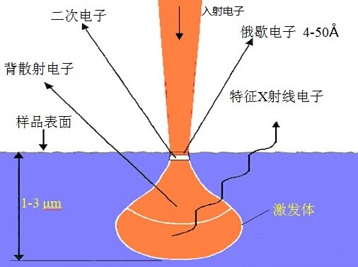 电子en_电子分光人_电子ee