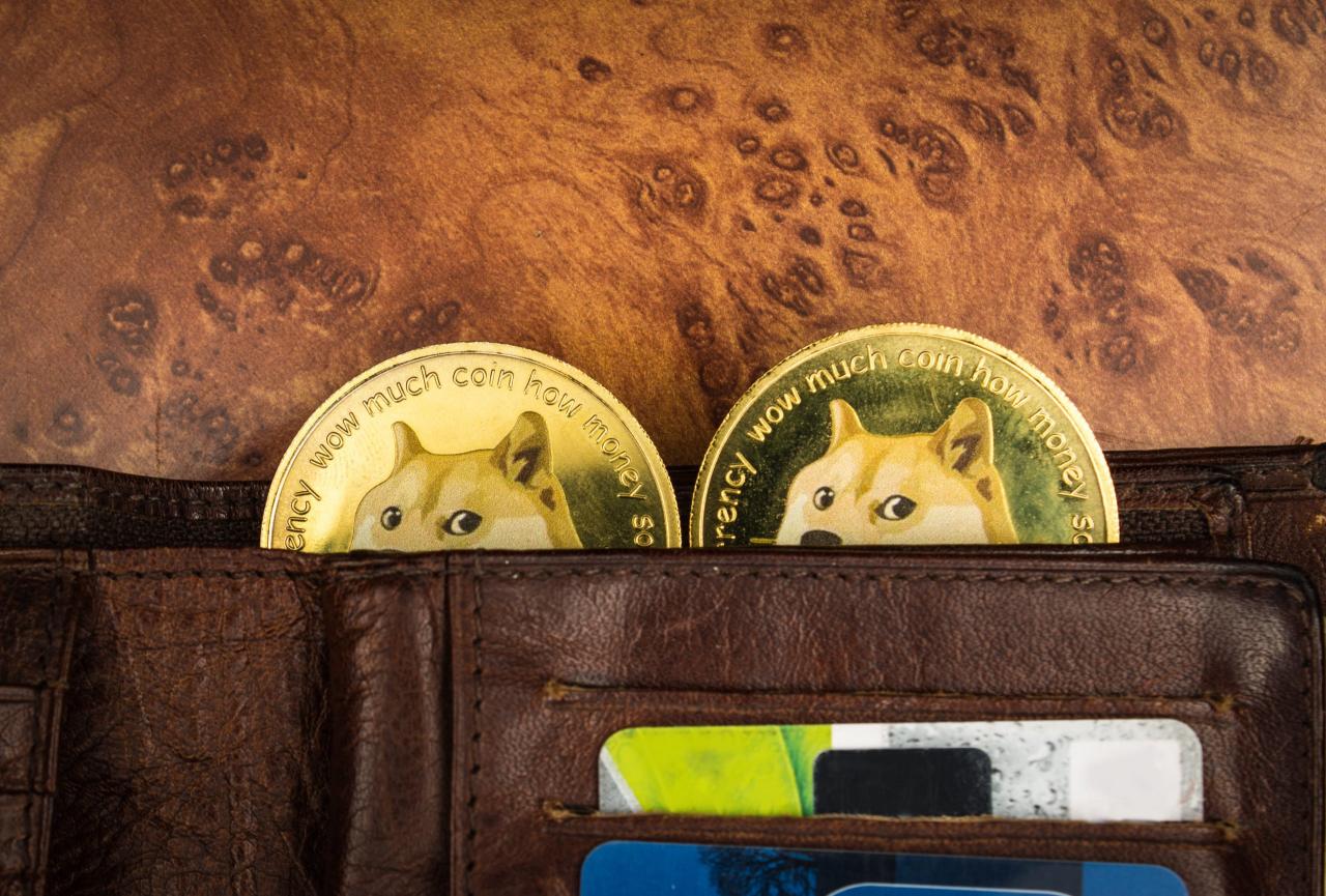 狗狗币钱包dogecoin_tp钱包狗狗币主网_狗狗币钱包官网