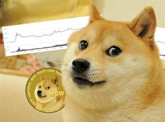 狗狗币钱包导出私钥_狗狗币钱包怎么转出_TP钱包狗狗币怎么转到欧意