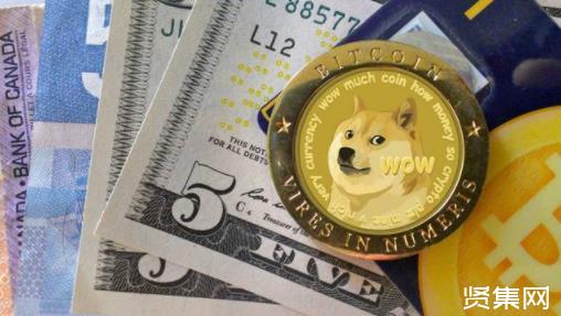 狗狗币钱包dogecoin_狗狗币放tp钱包_tp钱包买狗狗币