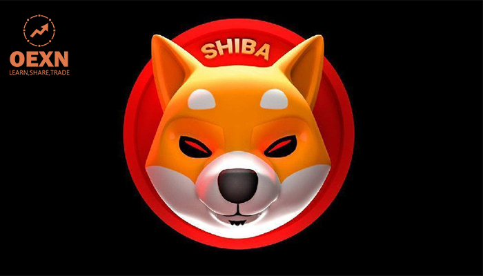 狗币钱包app_狗狗币钱包安装教程_狗狗币 tp钱包